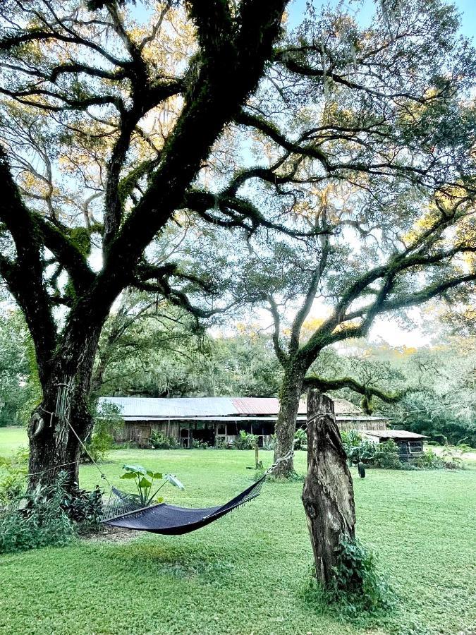 The Harmony Oaks Homestead Masaryktown Exterior foto