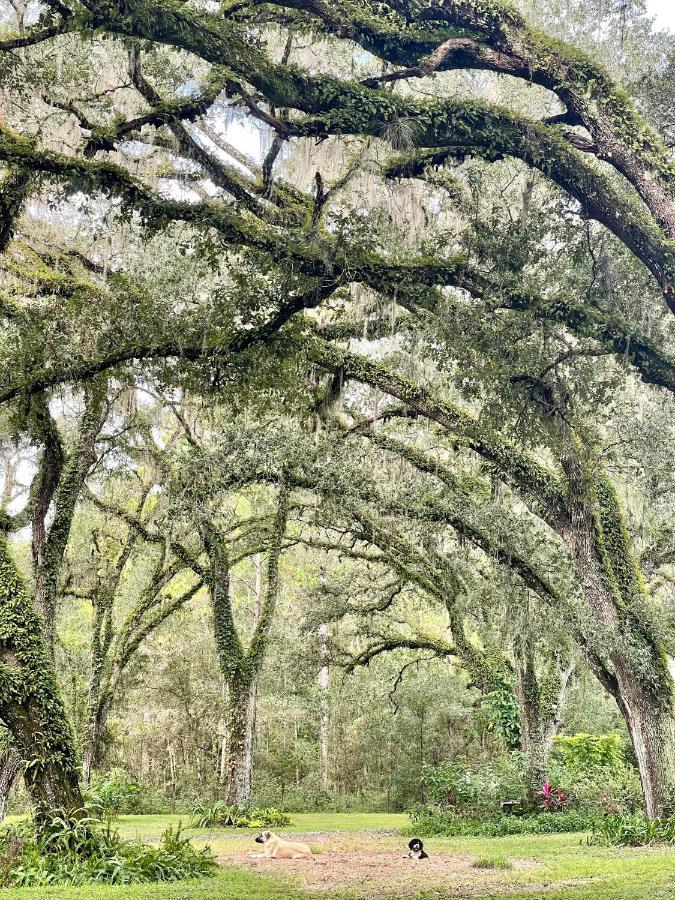 The Harmony Oaks Homestead Masaryktown Exterior foto