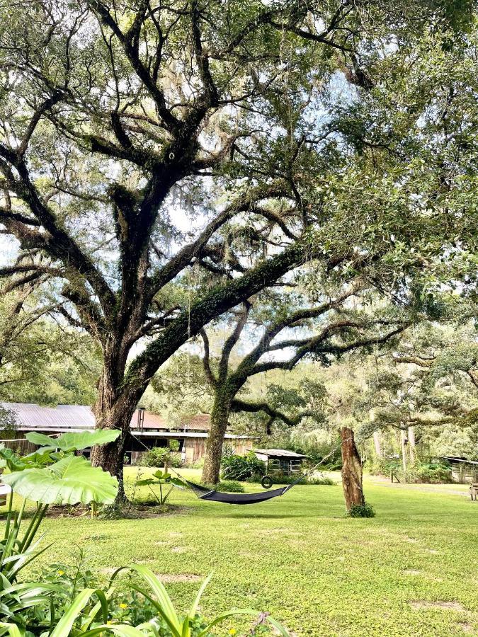 The Harmony Oaks Homestead Masaryktown Exterior foto