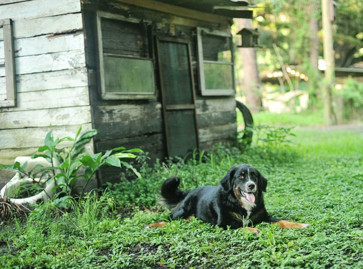 The Harmony Oaks Homestead Masaryktown Exterior foto