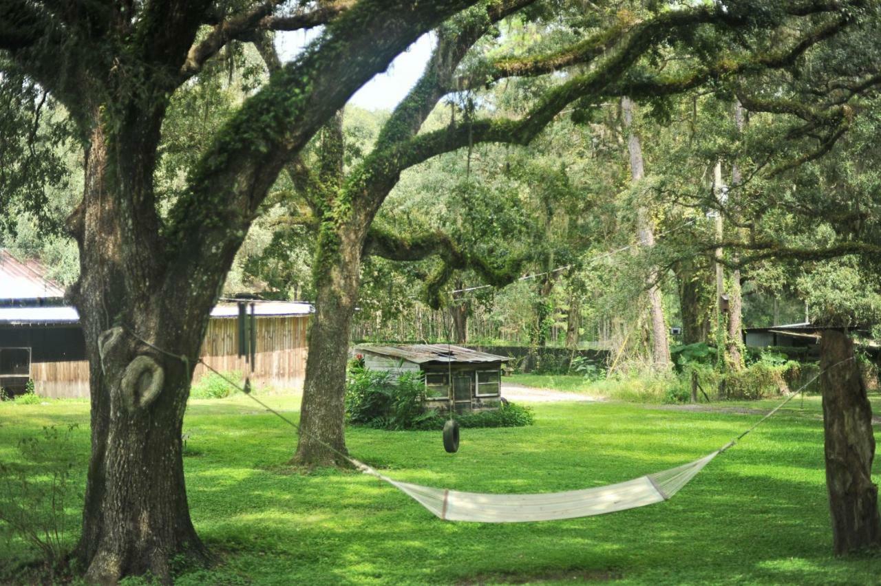 The Harmony Oaks Homestead Masaryktown Exterior foto